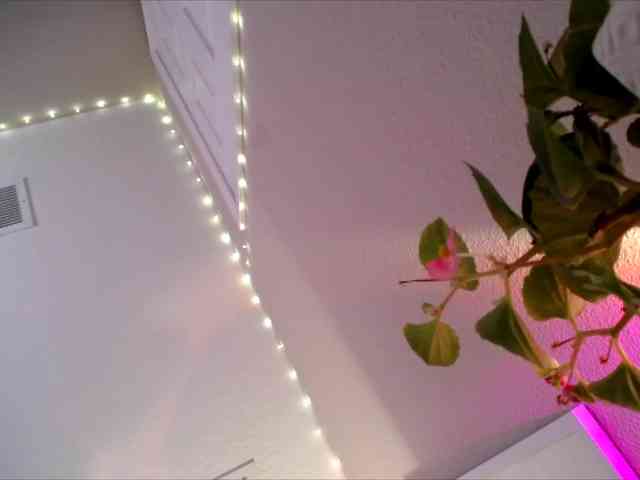 PrincessXOXO