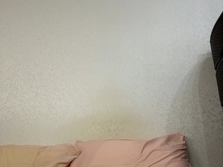 Annacam Porn Show