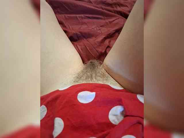 Mikkai webcam