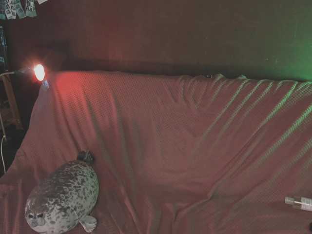 juby-yubi live cam on BongaCams