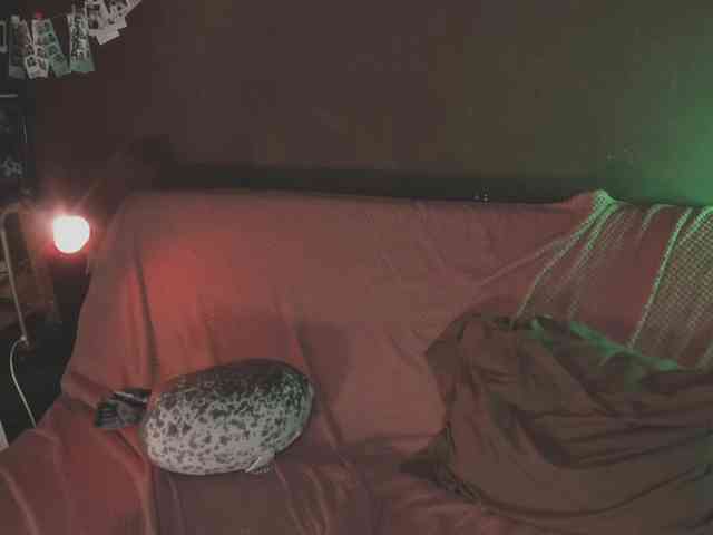 juby-yubi webcam