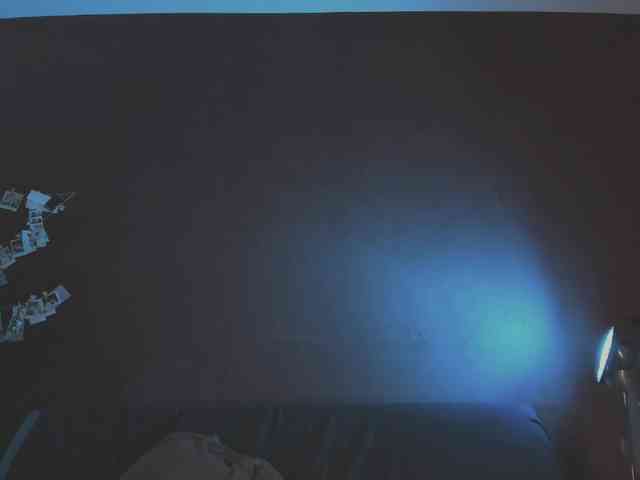 juby-yubi webcam