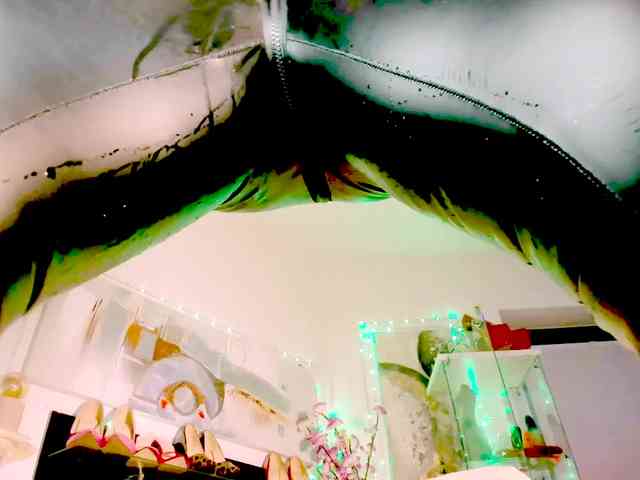 2bigass4u webcam