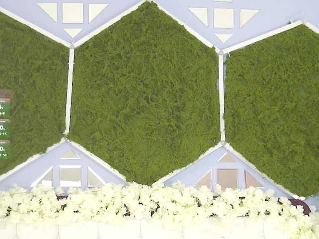 Greedy-Kim5 live cam