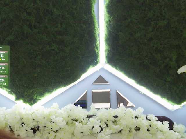 Greedy-Kim5's BongaCams show and profile