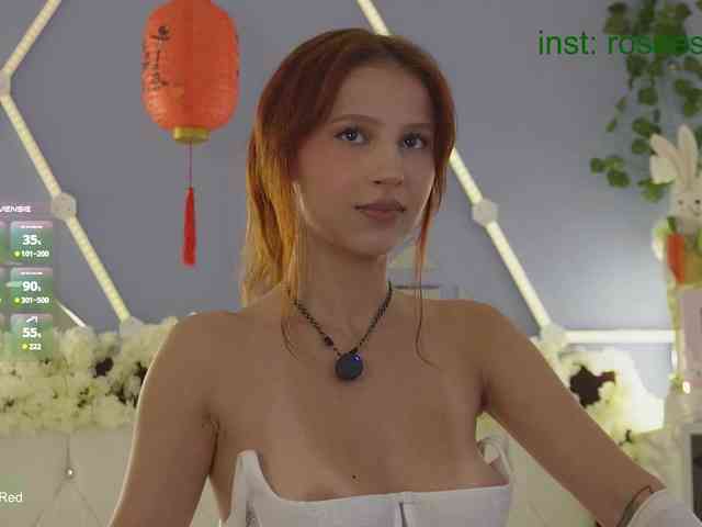 rosess_ webcam
