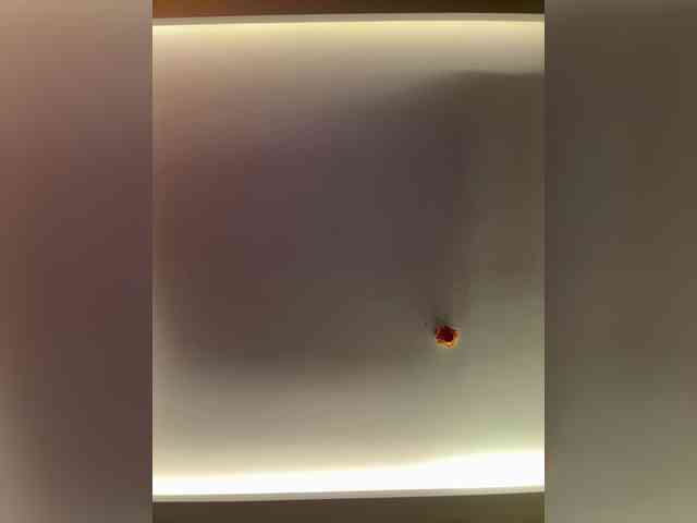 voyeur live Greedy-Kim5