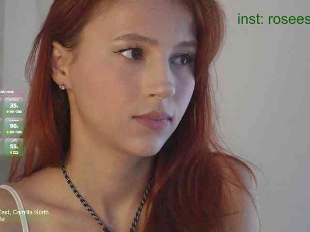 Модель: rosess_