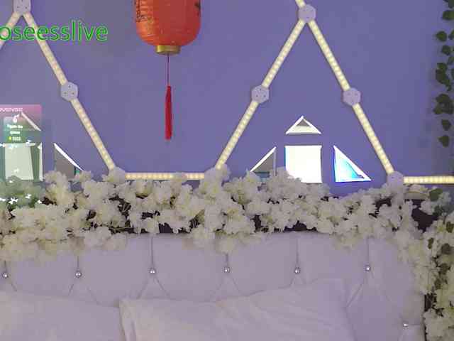 rosess_ webcam