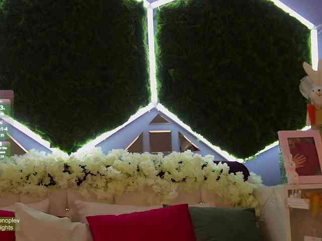 rosess_ webcam