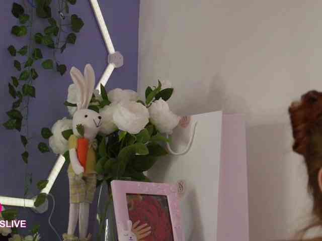 rosess_ webcam