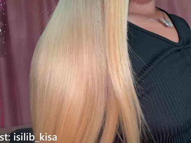 モデル: isilib_kisa