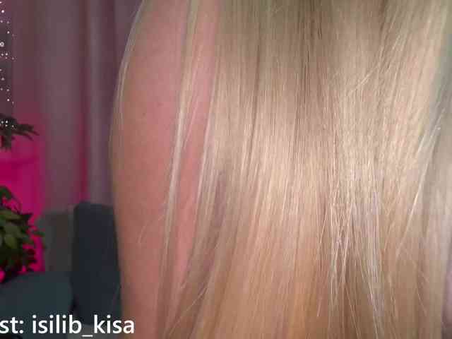 Model: isilib_kisa