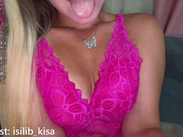 モデル: isilib_kisa