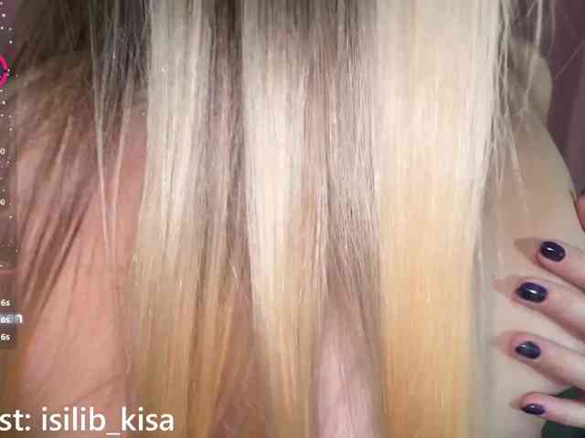 Model: isilib_kisa