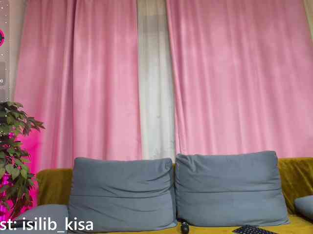 モデル: isilib_kisa