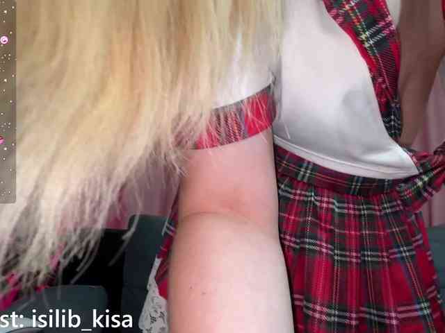 モデル: isilib_kisa