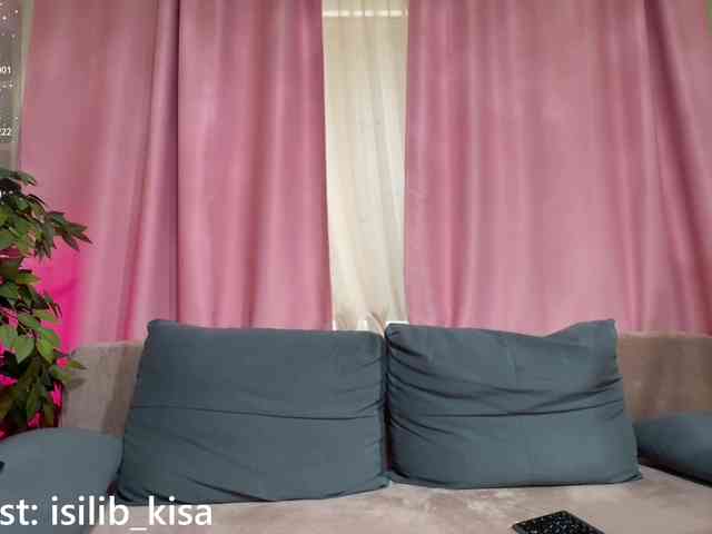 モデル: isilib_kisa