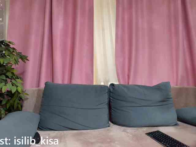 Model: isilib_kisa