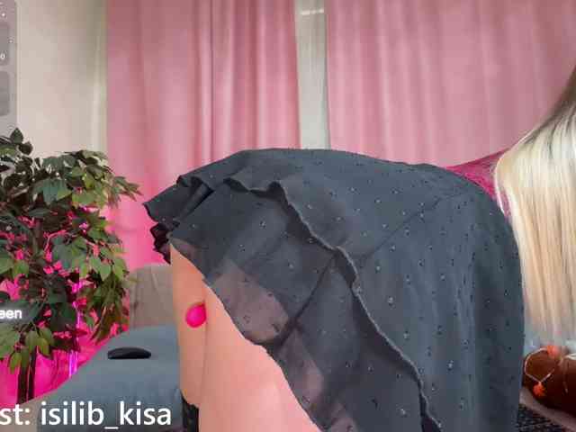 モデル: isilib_kisa