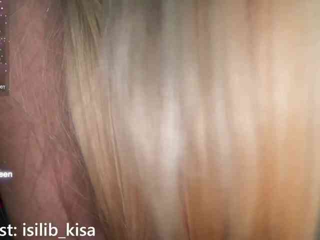 Model: isilib_kisa