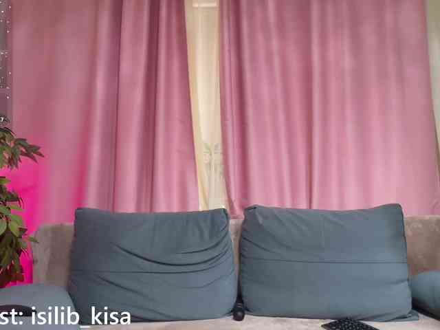 モデル: isilib_kisa