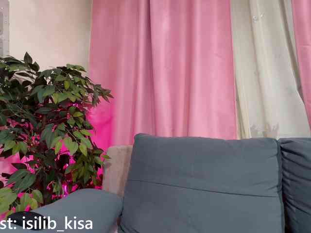 Model: isilib_kisa