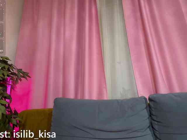 モデル: isilib_kisa