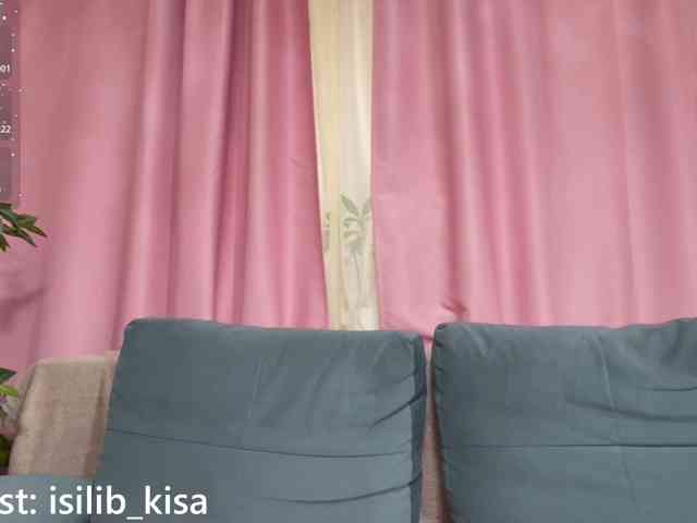 Model: isilib_kisa