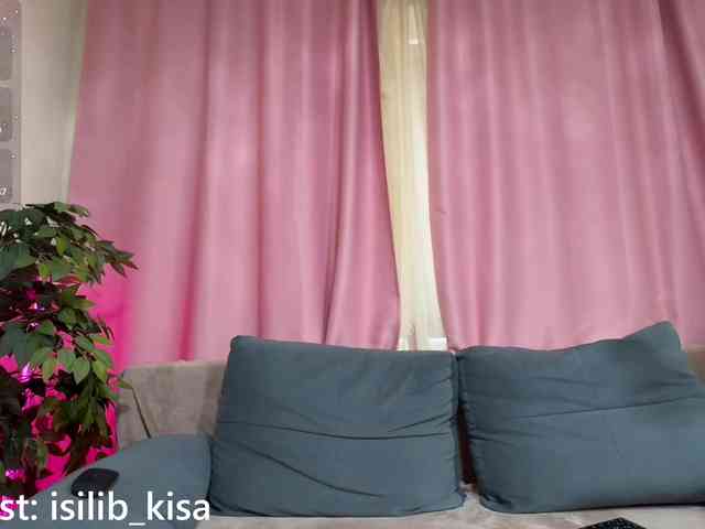 モデル: isilib_kisa