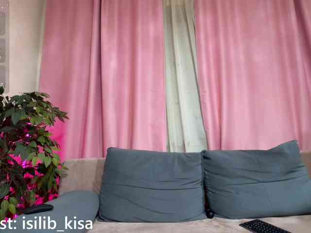 モデル: isilib_kisa