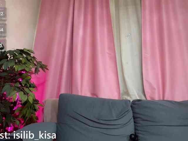 Model: isilib_kisa