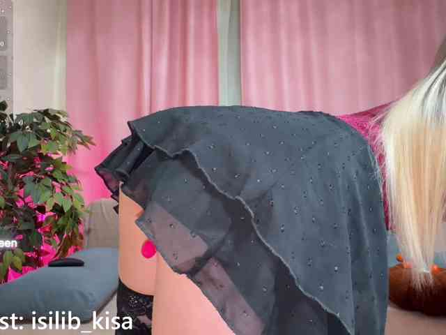 Model: isilib_kisa