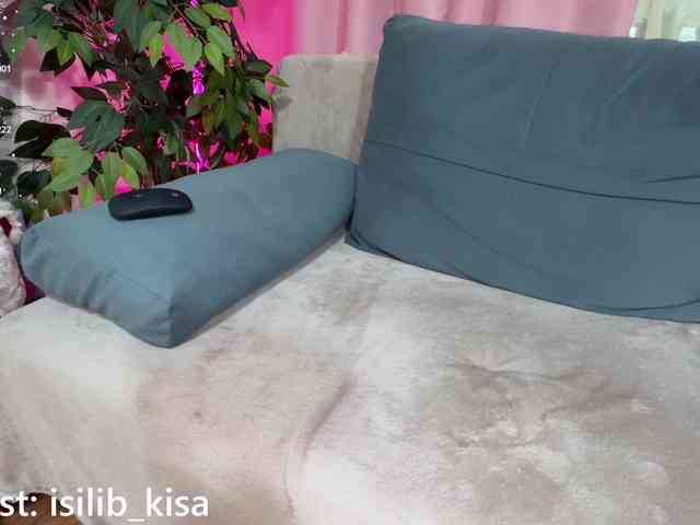 Isilib_kisa webcam