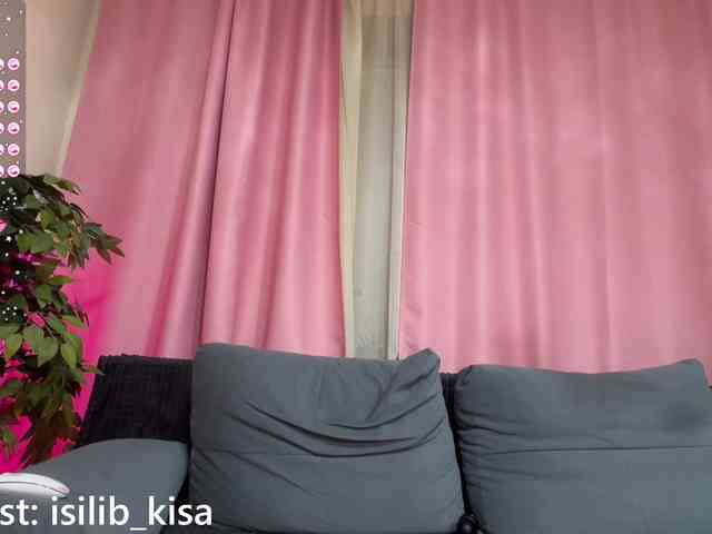 モデル: isilib_kisa