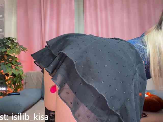 Model: isilib_kisa