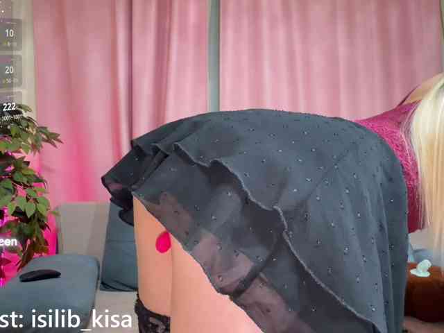 Model: isilib_kisa