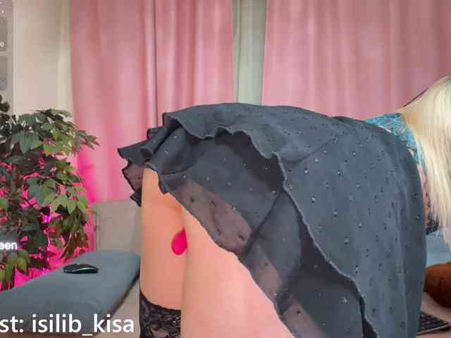 モデル: isilib_kisa