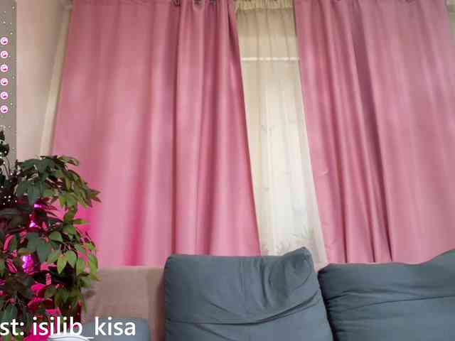 モデル: isilib_kisa