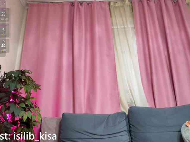 Isilib_kisa webcam