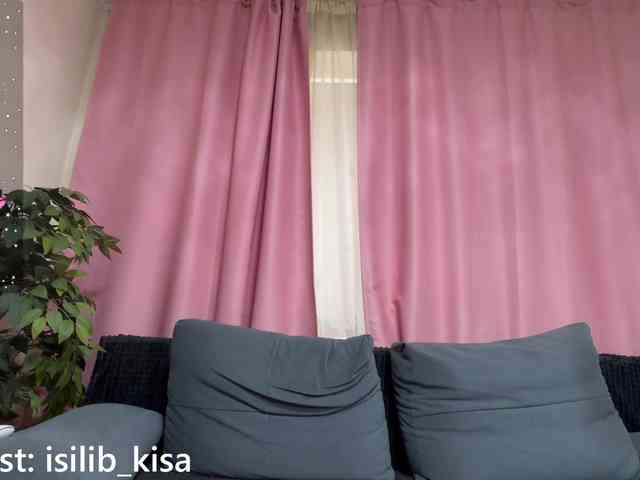 Model: isilib_kisa