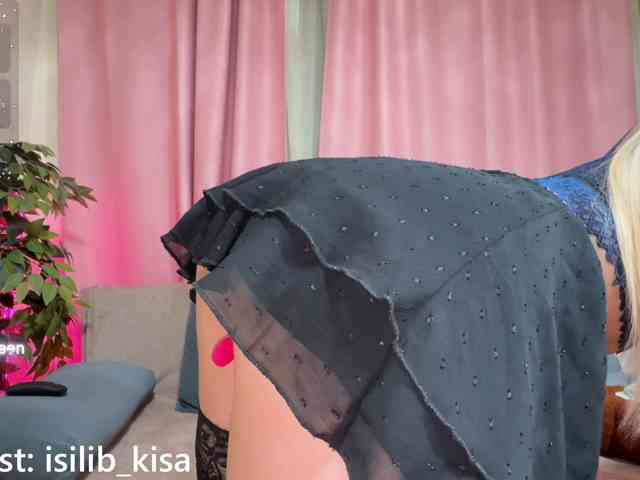 Model: isilib_kisa