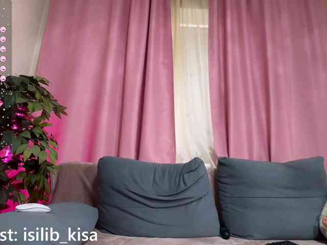 Model: isilib_kisa