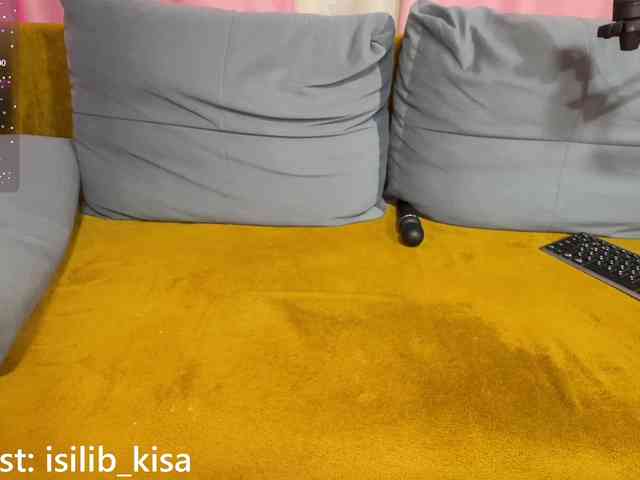 モデル: isilib_kisa