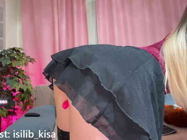 Model: isilib_kisa