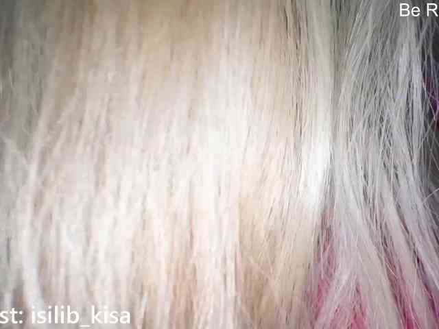 モデル: isilib_kisa