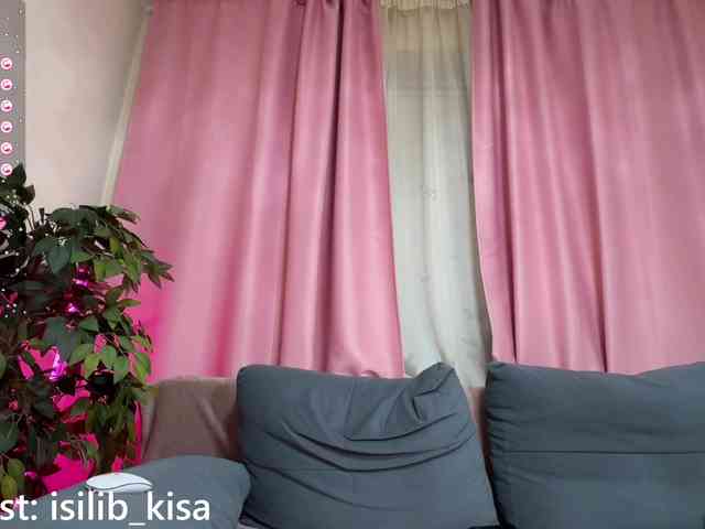 モデル: isilib_kisa