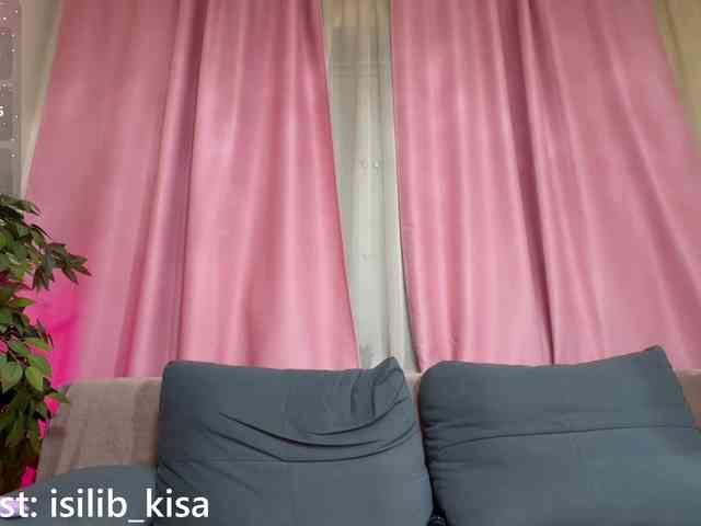 モデル: isilib_kisa