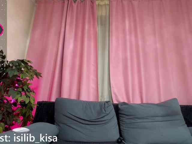 Model: isilib_kisa