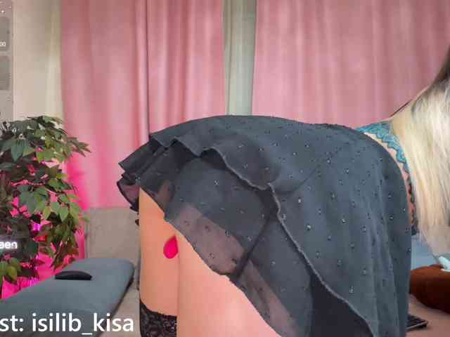 Model: isilib_kisa